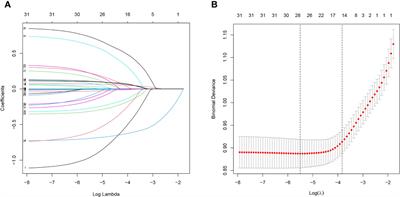 Development and validation of a cognitive dysfunction risk prediction model for the abdominal obesity population